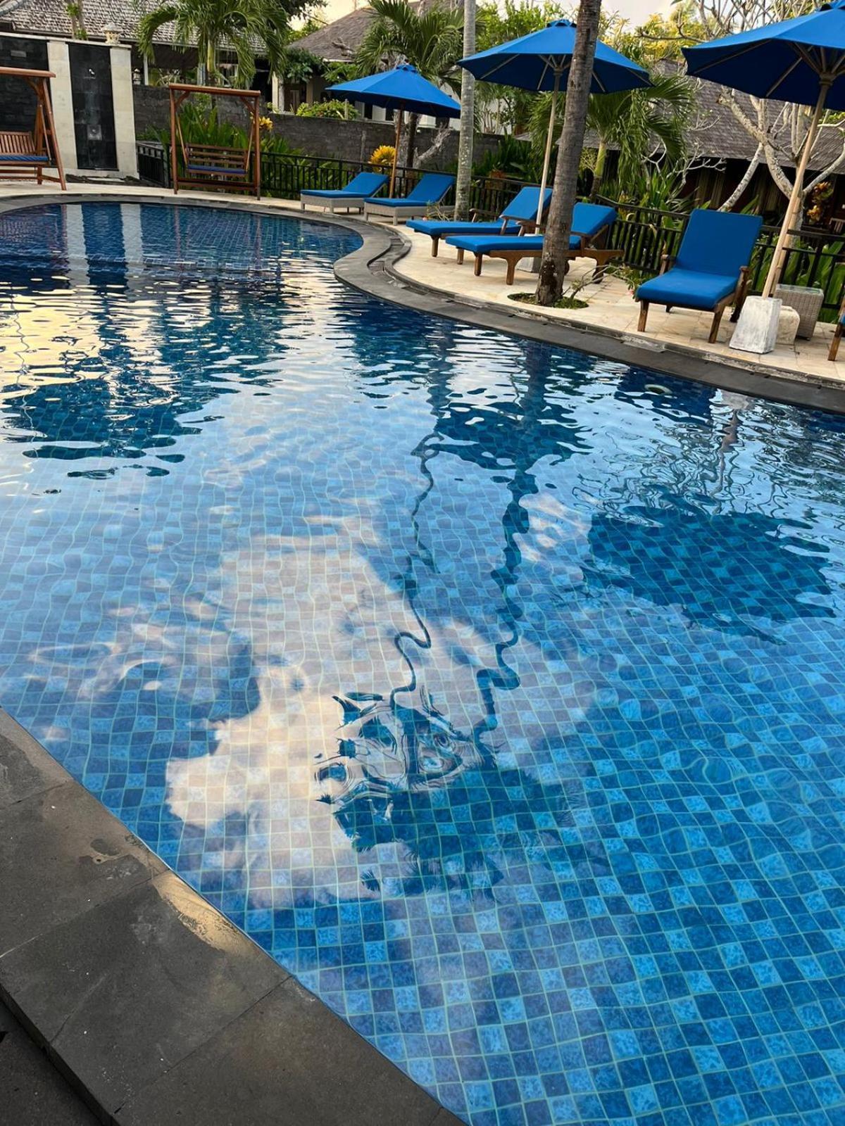 Balangan Surf Resort Jimbaran Eksteriør billede